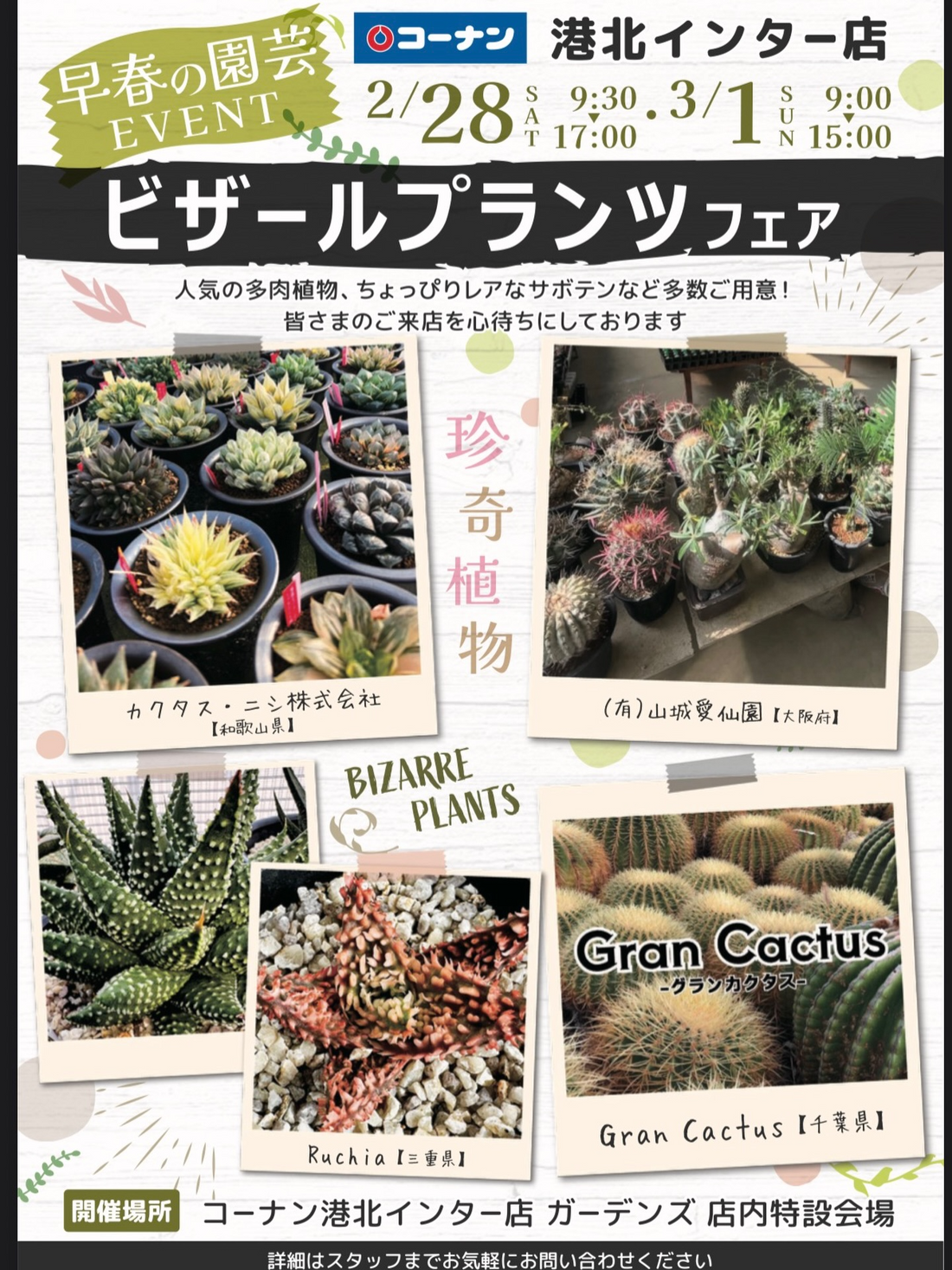 ホームセンターコーナン港北インター店が早春の園芸EVENTビザール ホームセンターコーナン港北インター店が早春の園芸EVENTビザール