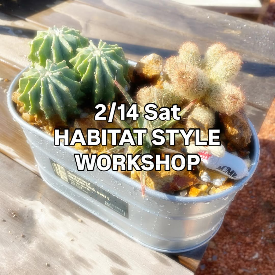 ALISFYEXOTICPLANTSがTANIKOproduceVALENTINEMEETS2026を開催、ガルバナイズドタンクWSを実施 - リーフラ編集部