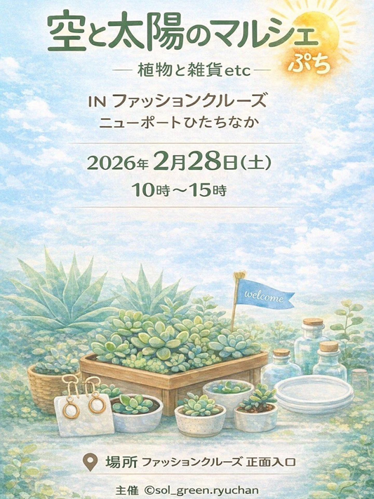 空と太陽のマルシェぷち2026が開催、多肉植物寄せ植えWSと塊根植物販売がひたちなかに集結