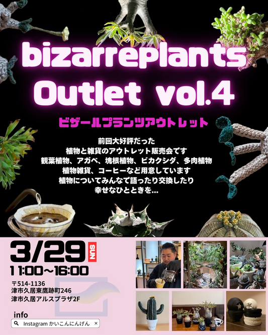 bizarreplantsOutletvol.42026が開催決定、津市久居アルスプラザでビザールプランツ販売会を実施