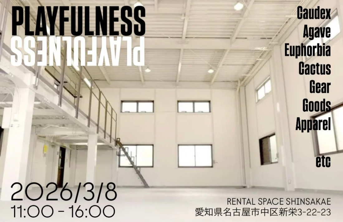 PLAYFULNESS2026が開催決定、名古屋新栄でCaudexやAgaveの植物イベント PLAYFULNESS2026が開催決定、名古屋新栄でCaudexやAgaveの植物イベント