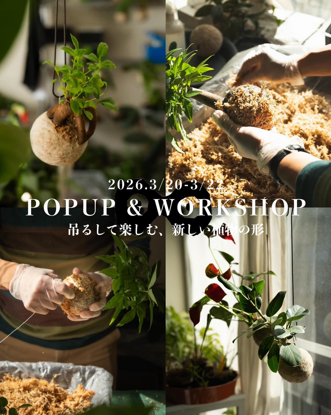 ngumiti蔵前が鎌倉から緑の風をHANGBALLPOPUP&WORKSHOP2026を開催、ハングボール体験が蔵前に登場