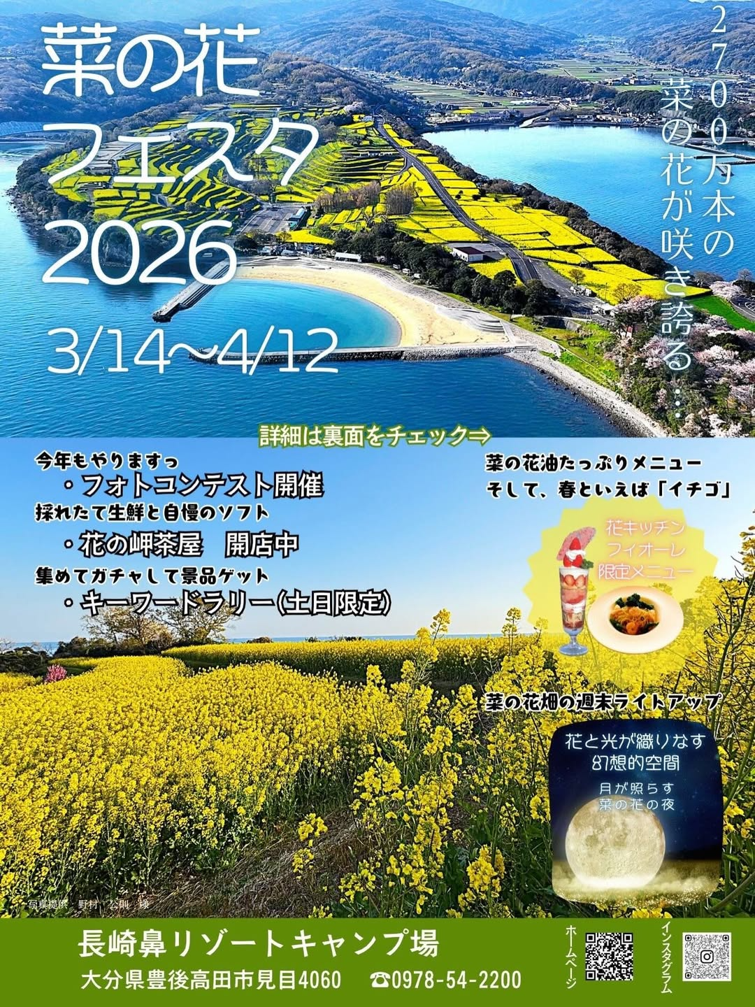 長崎鼻リゾートキャンプ場が菜の花フェスタ2026を開催、2700万本の菜の花と週末ライトアップが登場