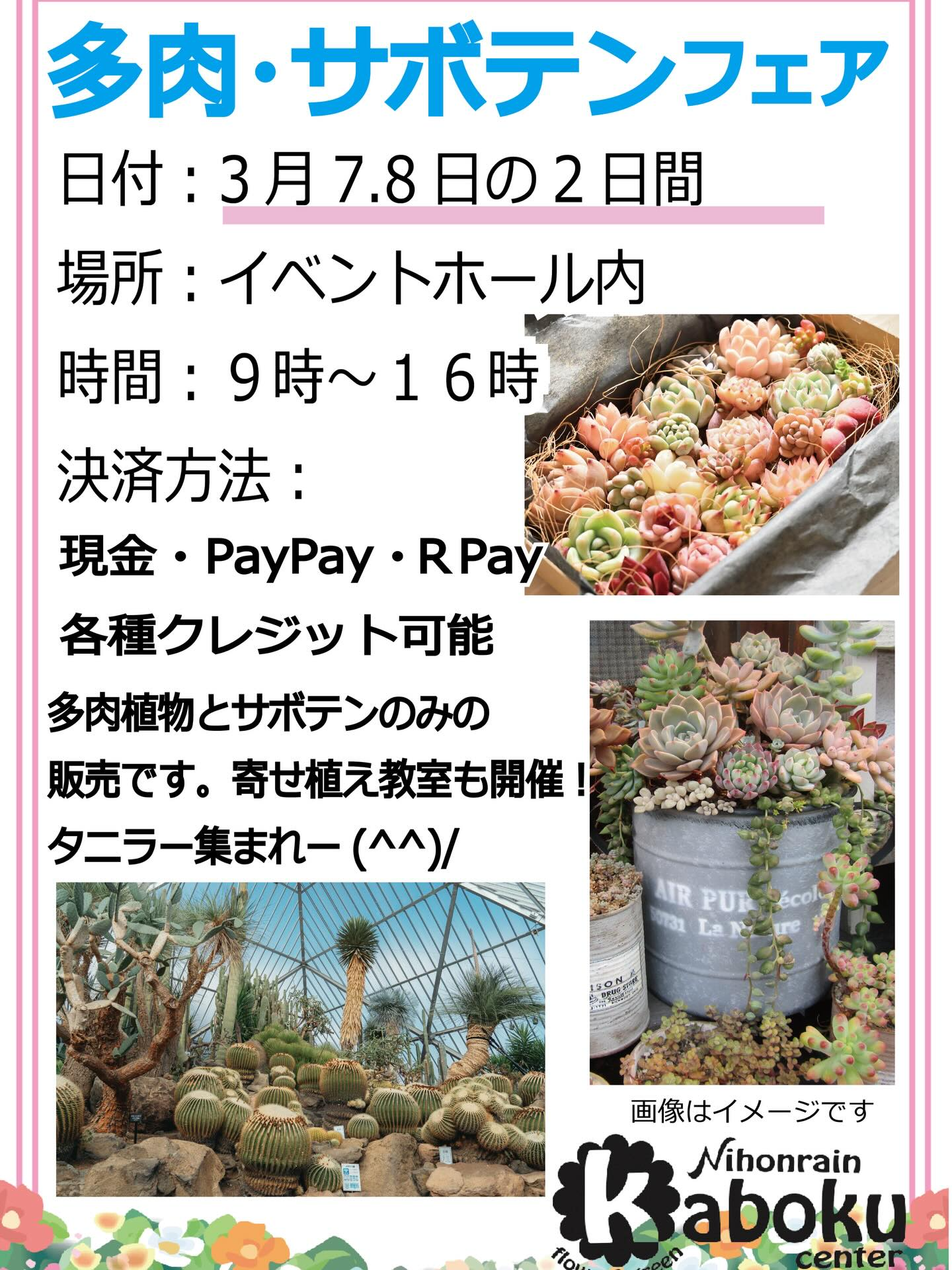 日本ライン花木センターが多肉サボテンフェア2026を開催、3月7日8日に販売と寄せ植え教室実施 - リーフラ編集部
