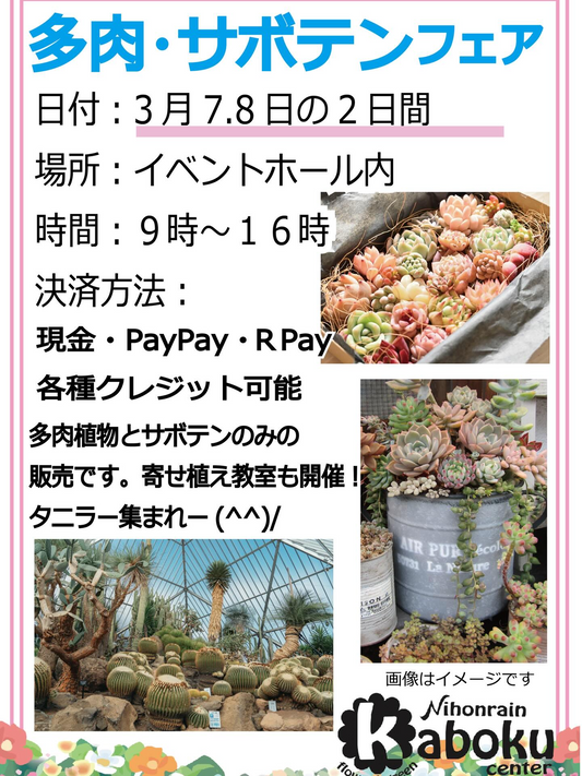 日本ライン花木センターが多肉サボテンフェア2026を開催、3月7日8日に販売と寄せ植え教室実施