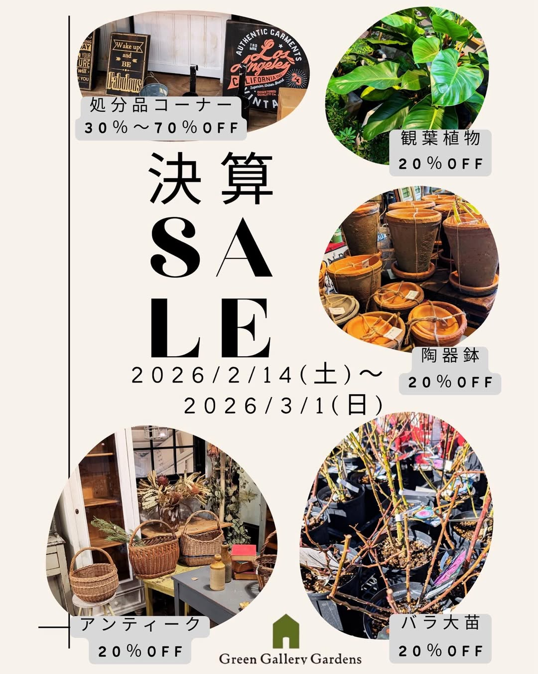 グリーンギャラリーガーデンズが2026年決算SALEを開催、観葉植物と陶器鉢が特価販売に - リーフラ編集部