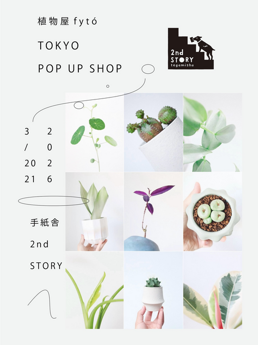 植物屋fytóが植物屋fytó東京POPUPSHOP2026を開催、手紙舎2ndSTORYで鉢植え植物を展示販売