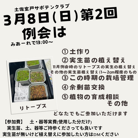 第ニ回定例会2026を南国市地域交流センターMIAREで開催、実生苗植え替えと栽培管理を実施