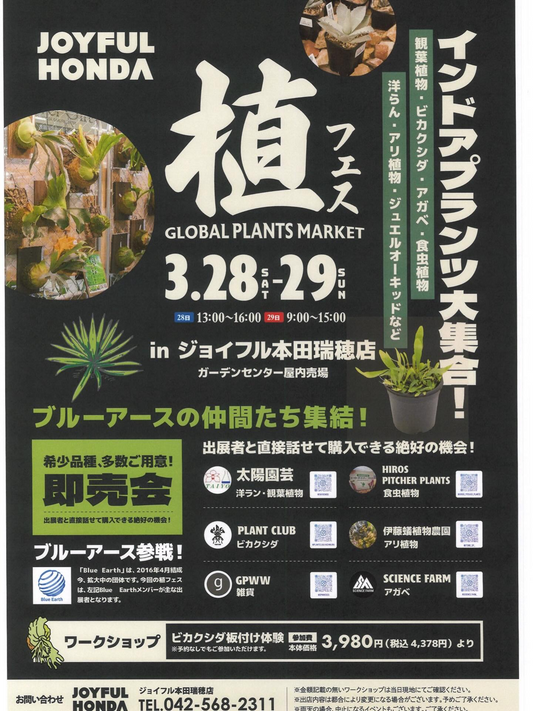 植フェスGLOBALPLANTSMARKET2026がジョイフル本田瑞穂店で開催、インドアプランツ大集合