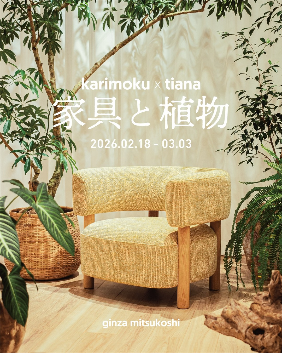 karimoku×TIANAPOPUP家具と植物2026が銀座三越で開催、家具と植物の