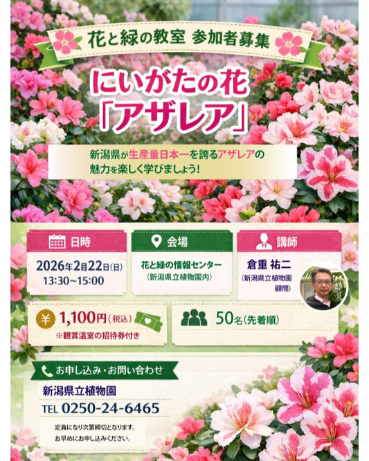 新潟県立植物園が花と緑の教室にいがたの花アザレア2026を開催、アザレア展連動解説で理解を深める機会