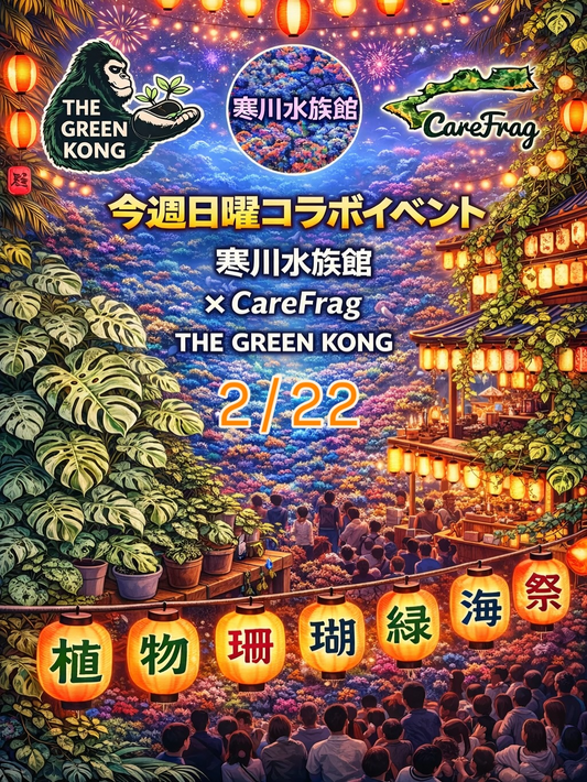 CareFragとTHEGREENKONGがサンゴ＆プランツ直売会2026を開催、寒川水族館で斑入り熱帯植物を販売