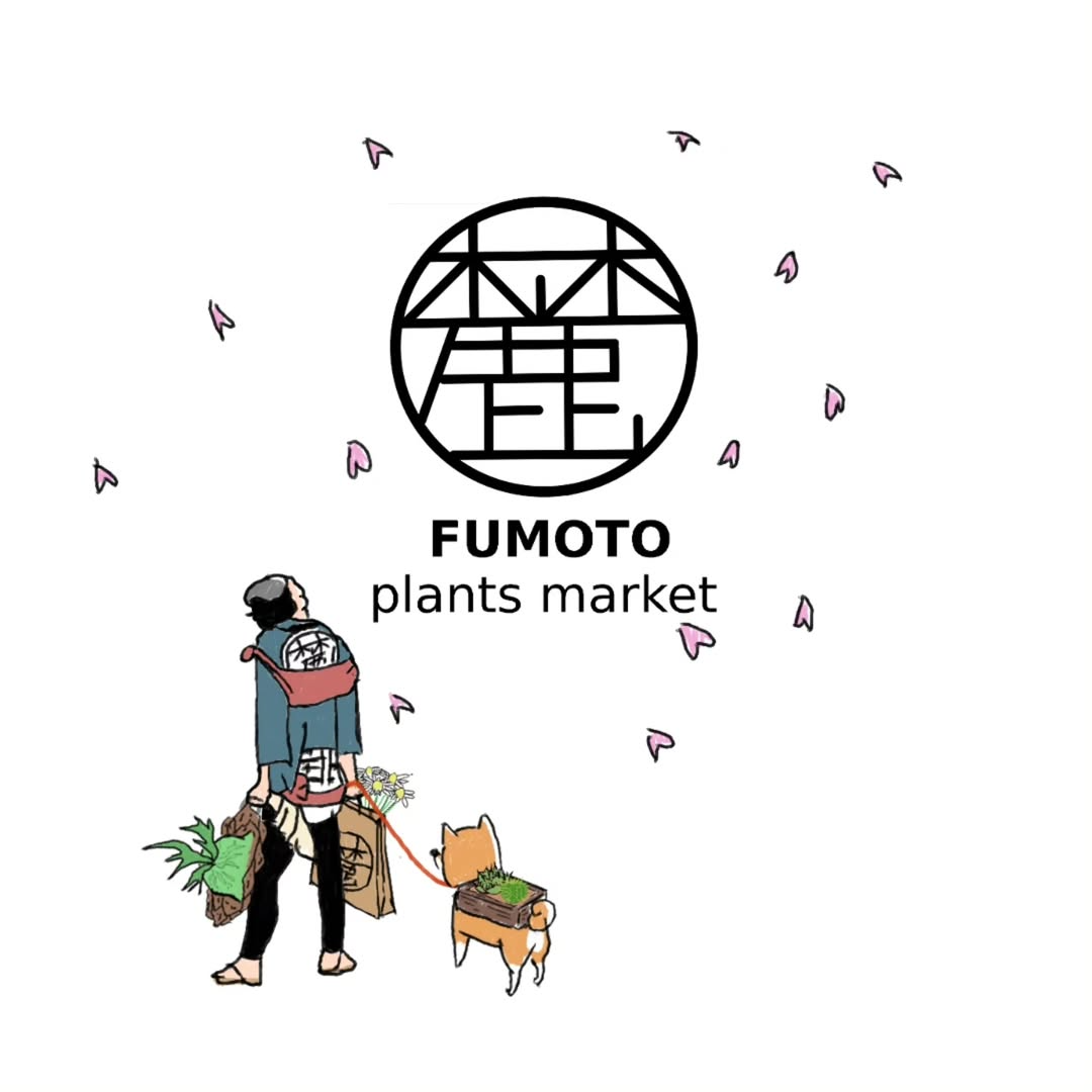 麓プランツマーケットVol.22026植物市春が滋賀で開催、志賀カントリーエレベーターに多彩な植物集結