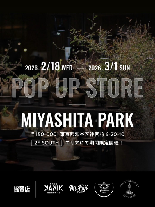MIYASHITAPARKPOPUPSTORE2026が開催、渋谷でKANIKら4社のアガベと塊根植物が集結