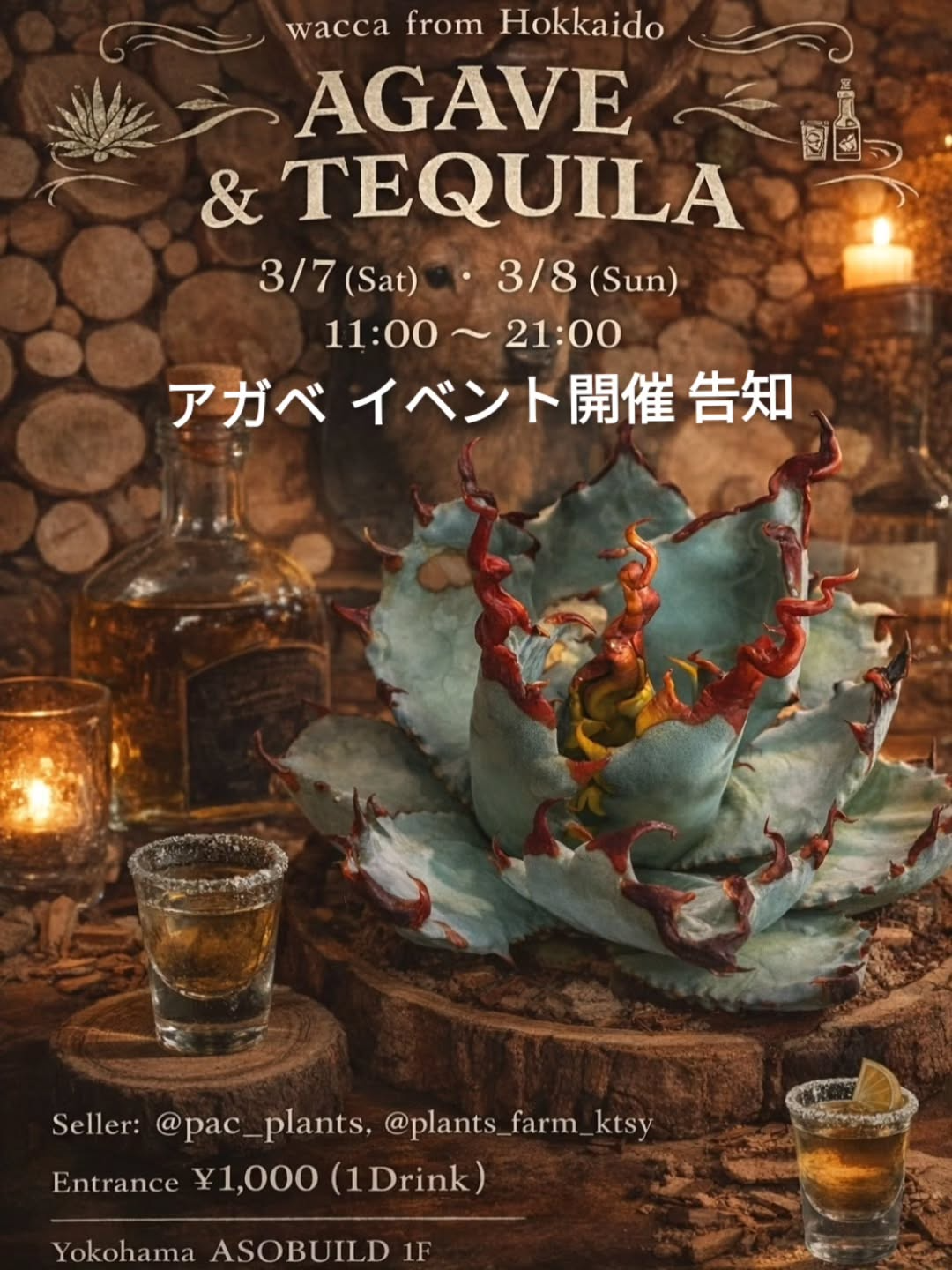 AGAVE×TEQUILA×HOKKAIDO2026がアソビルで開催、アガベ展示販売とテキーラ北海道料理を実施