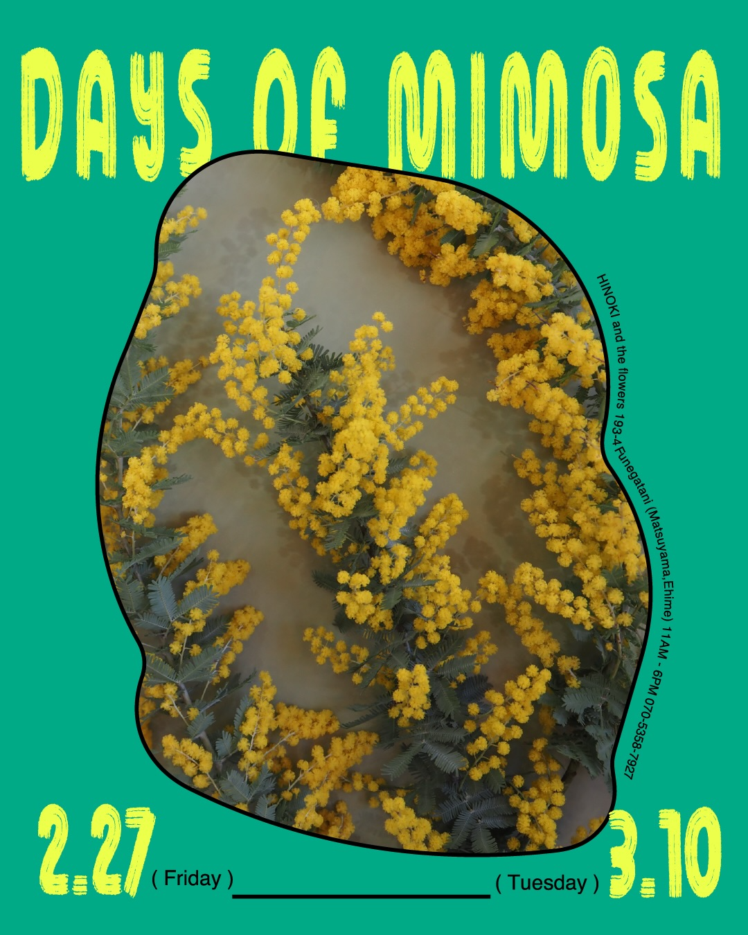 DAYS OF MIMOSA2026がミモザフェアを開催、HINOKI and the flowersで春の贈花文化を提案