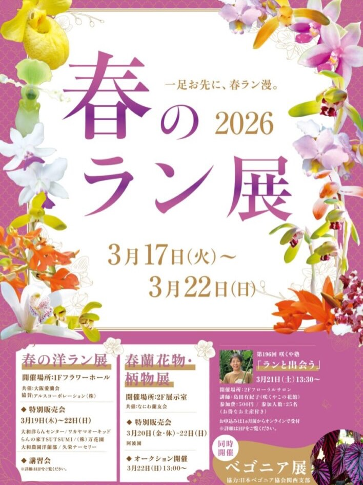 春のラン展2026が咲くやこの花館で開催、洋ラン展示と特別販売会が来場者の注目に