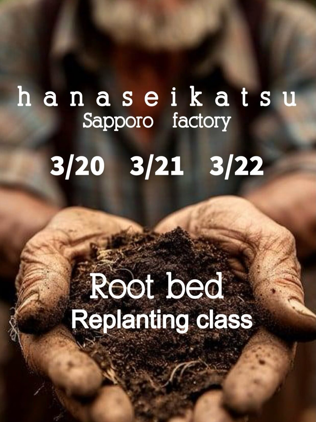 hanaseikatsu Sapporo factoryが植え替え教室を開催、札幌で観葉植物の管理方法を学ぶ機会に