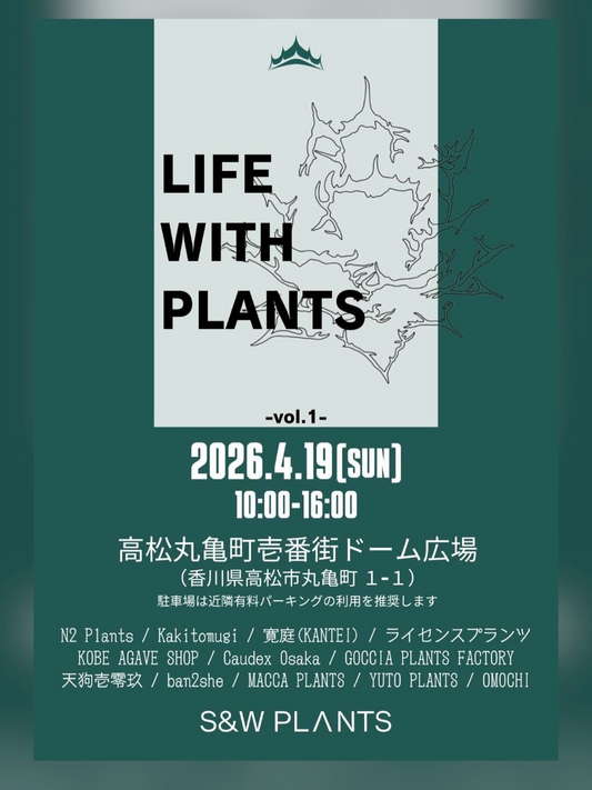 LIFEWITHPLANTS植物のある暮らしvol12026を高松で開催、アガベ即売会が丸亀町に集結