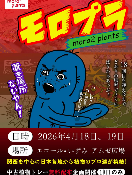 モロプラ18thモロプラ置き場所ないやんが開催、エコールいずみで珍奇植物が集結