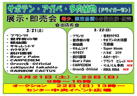 みのり花木センターインターパーク店が展示即売会を開催、サボテンアガベ多肉植物の希少品種が宇都宮に集結