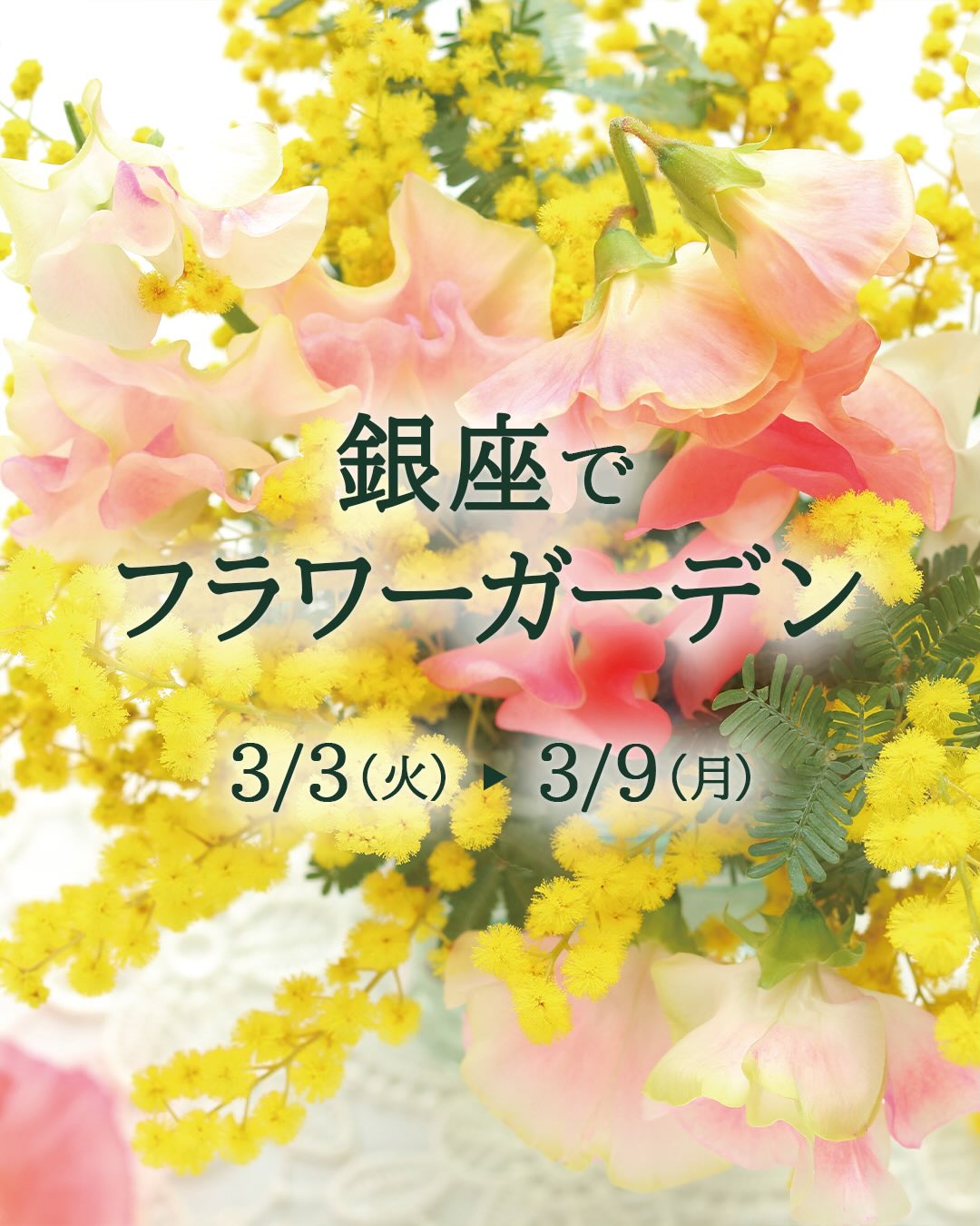 ファンケル銀座スクエアが春のフラワーガーデン2026を開催、ミモザ装飾が銀座の空中庭園を彩る