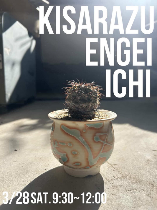 木更津園芸市がKISARAZU ENGEI ICHI木更津園芸市2026を開催、1000円以下苗と整理品が来場者の選択肢に