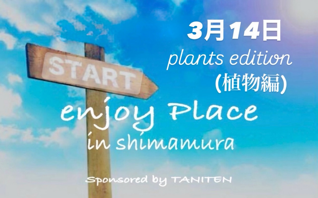 と*け様 新タランチュラ Page & Plant In Japan 6CD+1 82600d5b1f3d2697469c746720c1bc