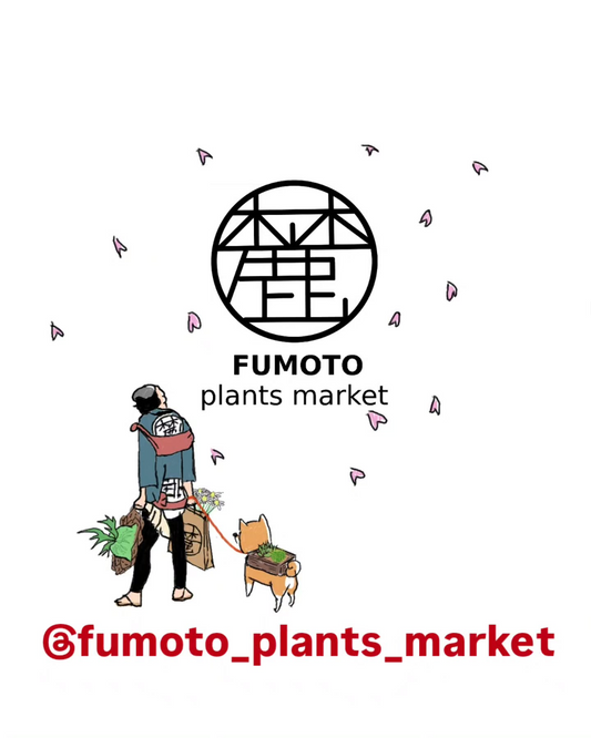 麓プランツマーケットVol.22026植物市春を開催、滋賀大津で多彩な植物と体験企画を実施