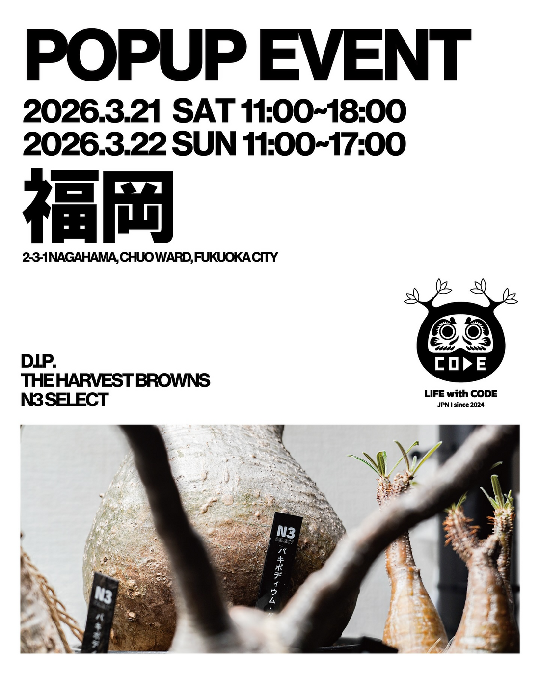 D.I.P.が福岡POP UPEVENT2026を開催、THE HARVEST BROWNSとN3SELECTで2日間出店