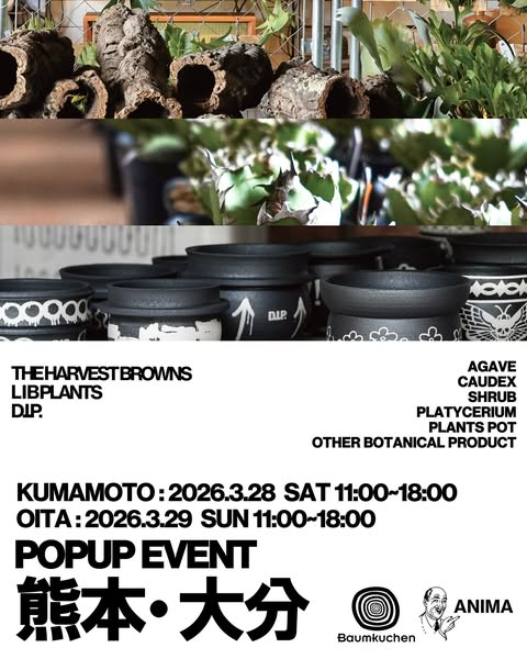 D.I.P.らが熊本大分POP UPEVENT2026を開催、BaumkuchenとANIMAで2都市出店