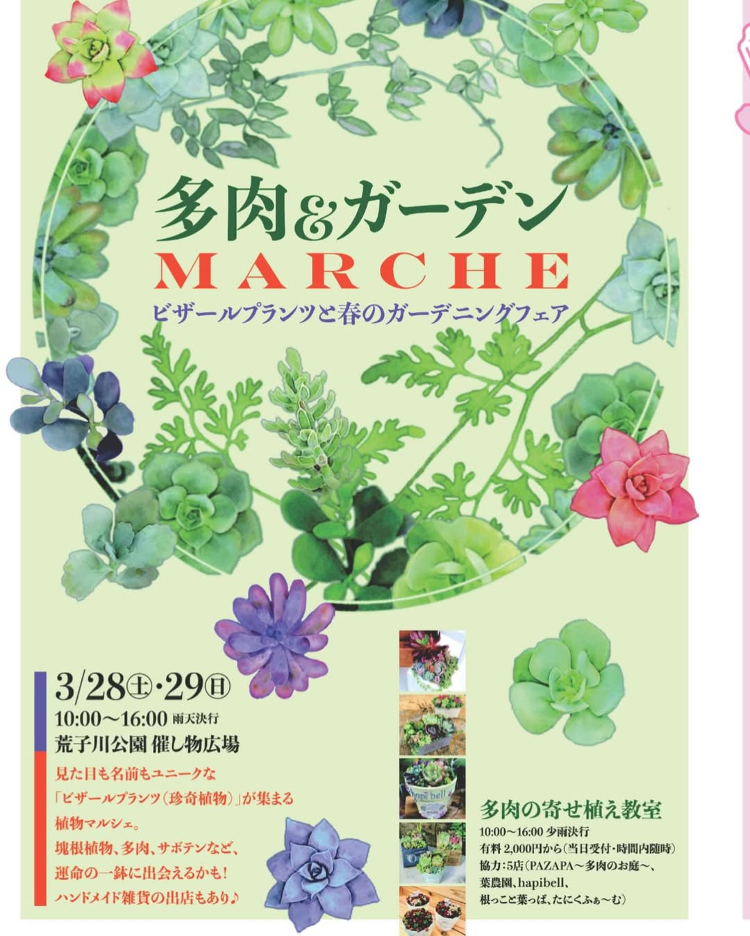 多肉＆ガーデンMARCHE2026が荒子川公園で開催、ビザールプランツと多肉の展示販売