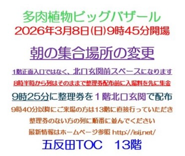 多肉植物ビッグバザール2026が五反田TOCビルで開催、整理券配布方法を変更し実施