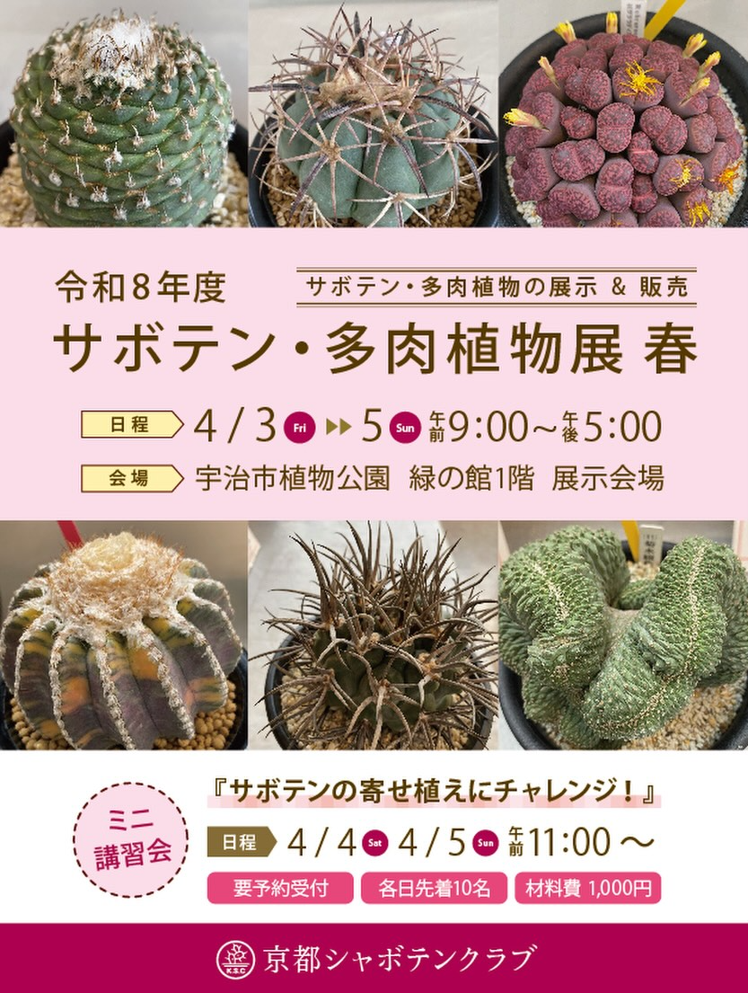 京都シャボテンクラブがサボテン多肉植物展春令和8年度を開催、宇治市