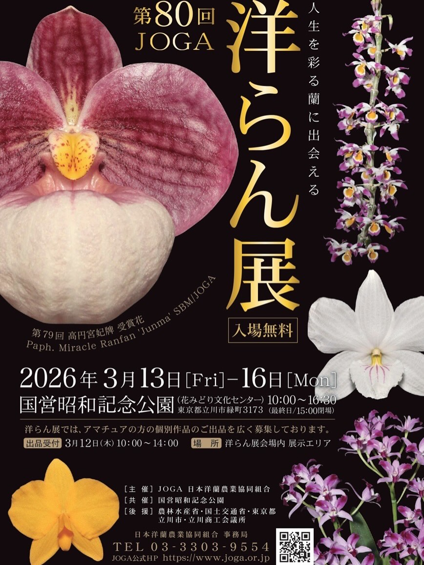 第80回JOGA洋らん展が2026年3月に開催、国営昭和記念公園で洋らん作品を公開
