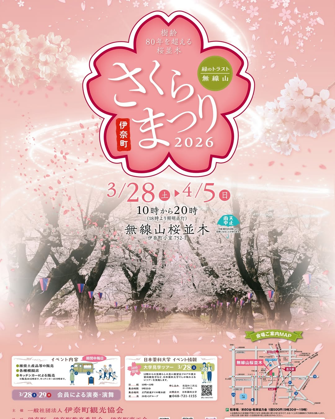 緑のトラスト2026無線山さくらまつりが開催、無線山桜並木のソメイヨシノが見頃に