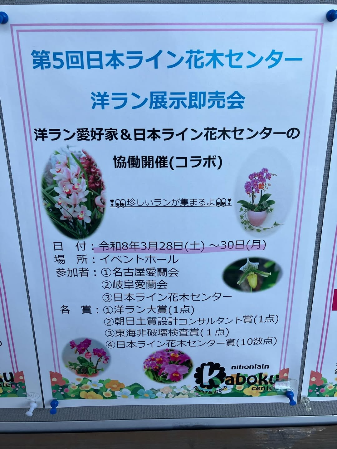 日本ライン花木センターが第5回洋ラン展示即売会を開催、愛蘭会参加で珍しいランが集結
