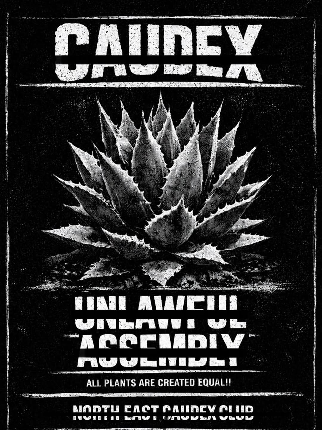 東北塊根倶楽部が東北塊根祭26コーデックス不法集会を開催、仙台で塊根植物愛好家が交流