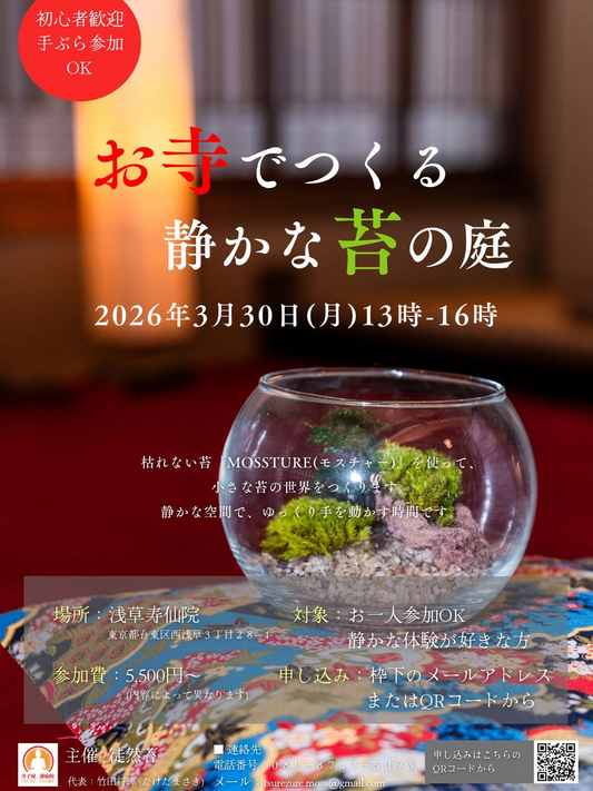 寿仙院がお寺でつくる静かな苔の庭を開催、浅草でMOSSTUREを使った苔アート体験