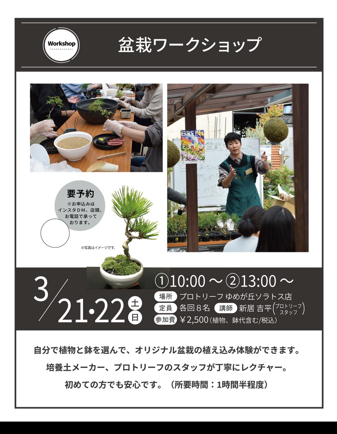 プロトリーフゆめが丘ソラトス店が盆栽ワークショップ2026を開催、植物と鉢を選ぶ体験型講座を実施