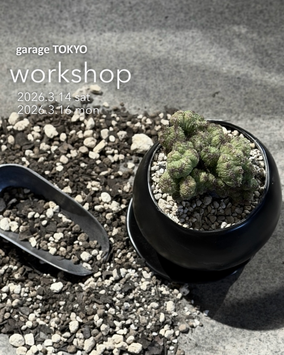 garageTOKYOが2026年3月に多肉植物の植え替えワークショップを開催、培養土作りから学べる実践講座