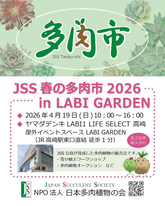 JSS春の多肉市2026inLABIGARDENが4月19日に開催、会員育成多肉の販売とワークショップ実施
