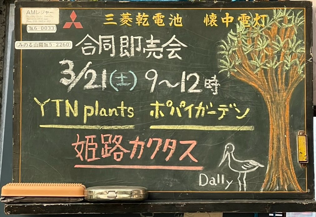 姫路カクタスがYTNplantsとポパイガーデン合同即売会を開催、2026年3月に兵庫で実施