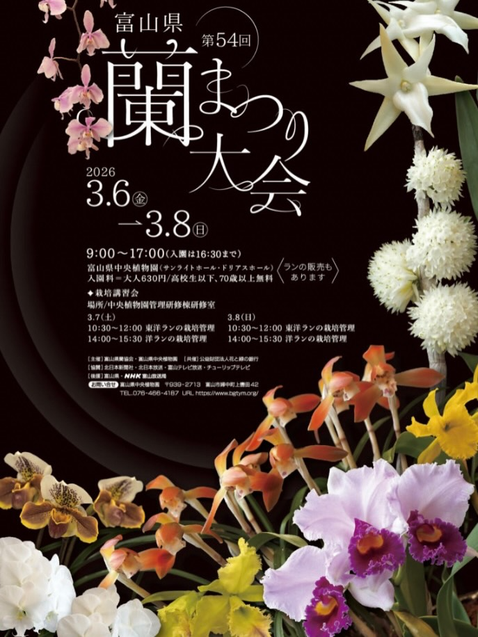 富山県中央植物園が第54回蘭まつり大会を開催、約300点の洋ランと東洋ランを展示
