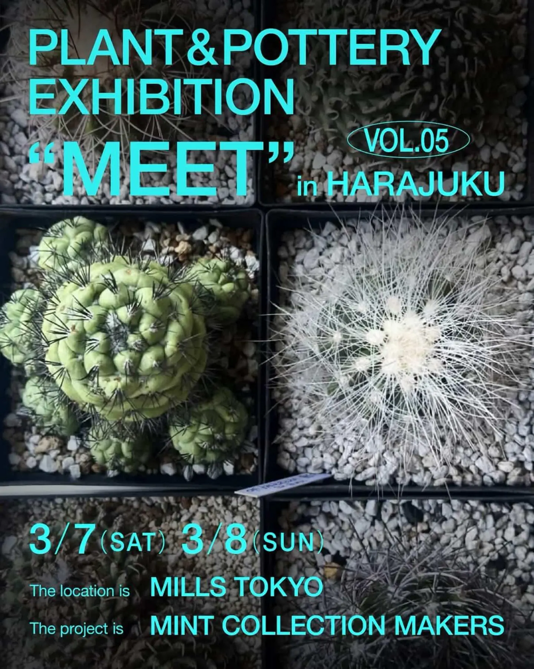 MINTCOLLECTIONMAKERSがMeetVol.052026HARAJUKUを開催、陶芸作品と塊根植物を原宿で展示販売