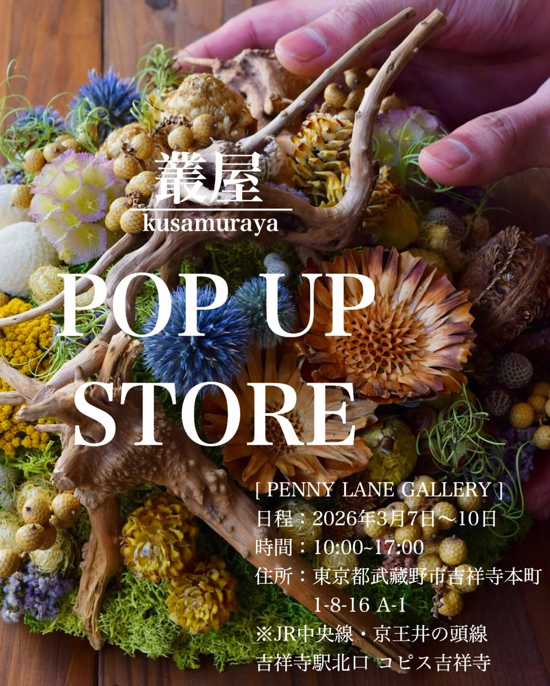 叢屋 POP UP STORE2026が吉祥寺PENNY LANE GALLERYで開催、ドライフラワー作品の展示販売