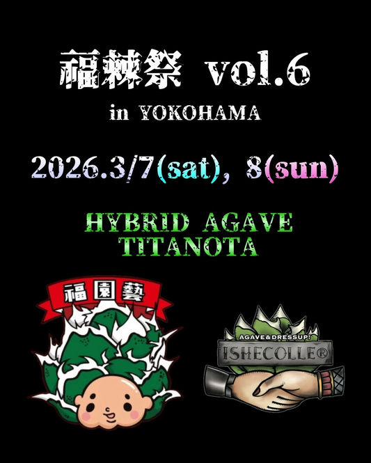 福棘祭vol.6in横浜が開催、福園藝とISHECOLLEがアガベ販売イベントを実施