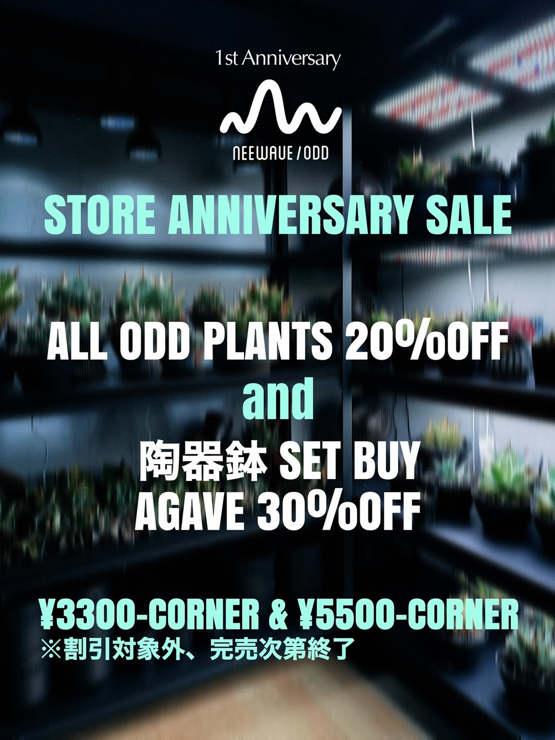 neewave oddが1周年記念セールを開催、SpiceCafè-neemで植物20％OFF販売
