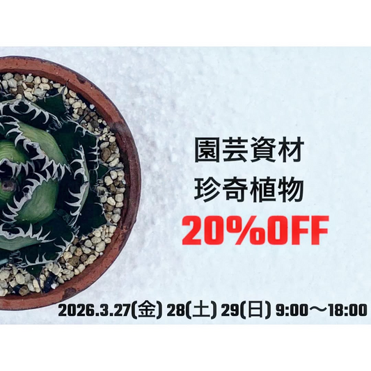 白木屋種苗種苗センターが園芸資材珍奇植物20%OFFセールを開催、アガベや塊根植物を割引販売