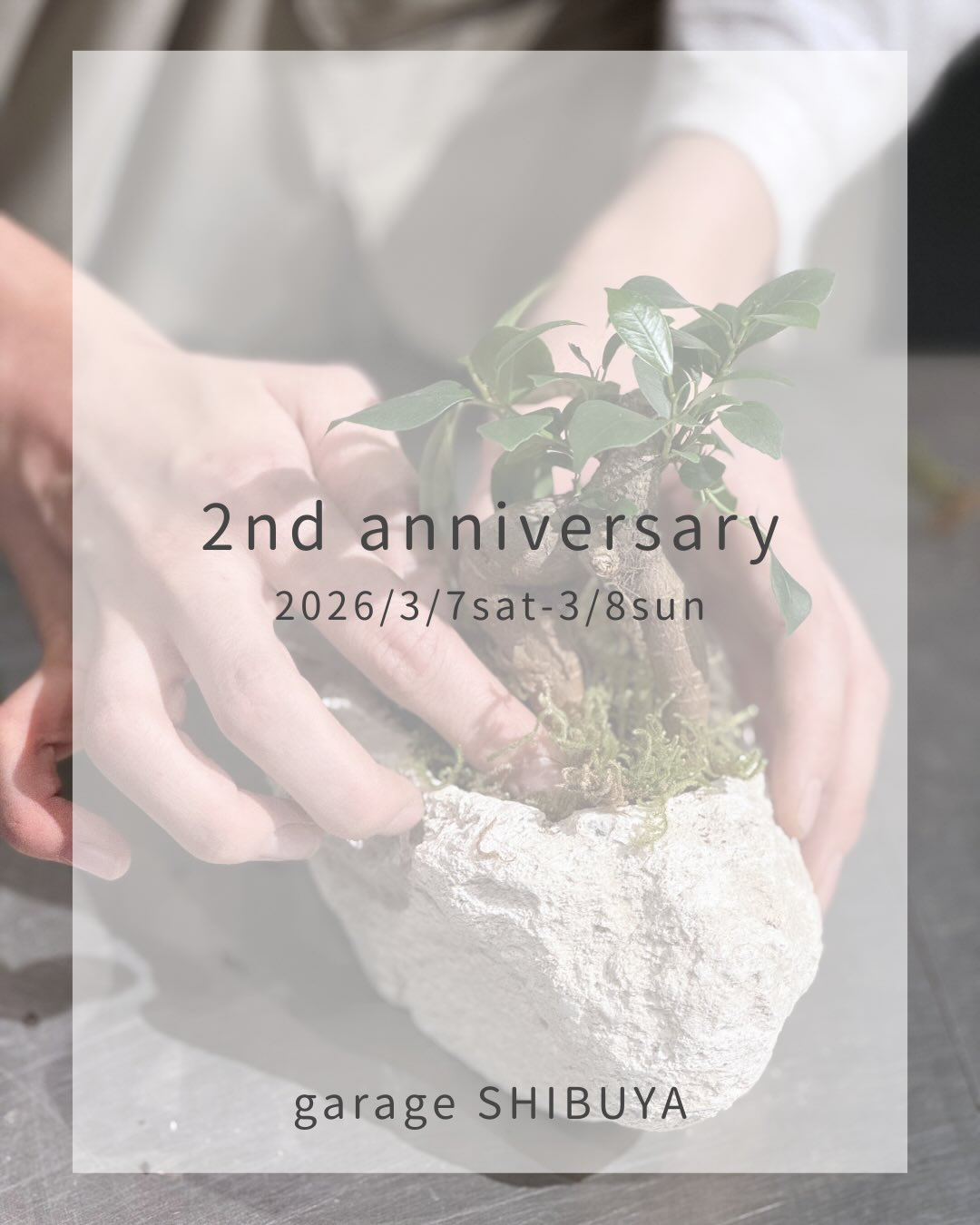 garage SHIBUYAが2ndanniversaryイベントを開催、薩摩軽石の観葉植物植え込みワークショップ実施